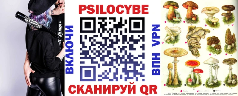 Псилоцибиновые грибы Psilocybine cubensis  Нолинск 
